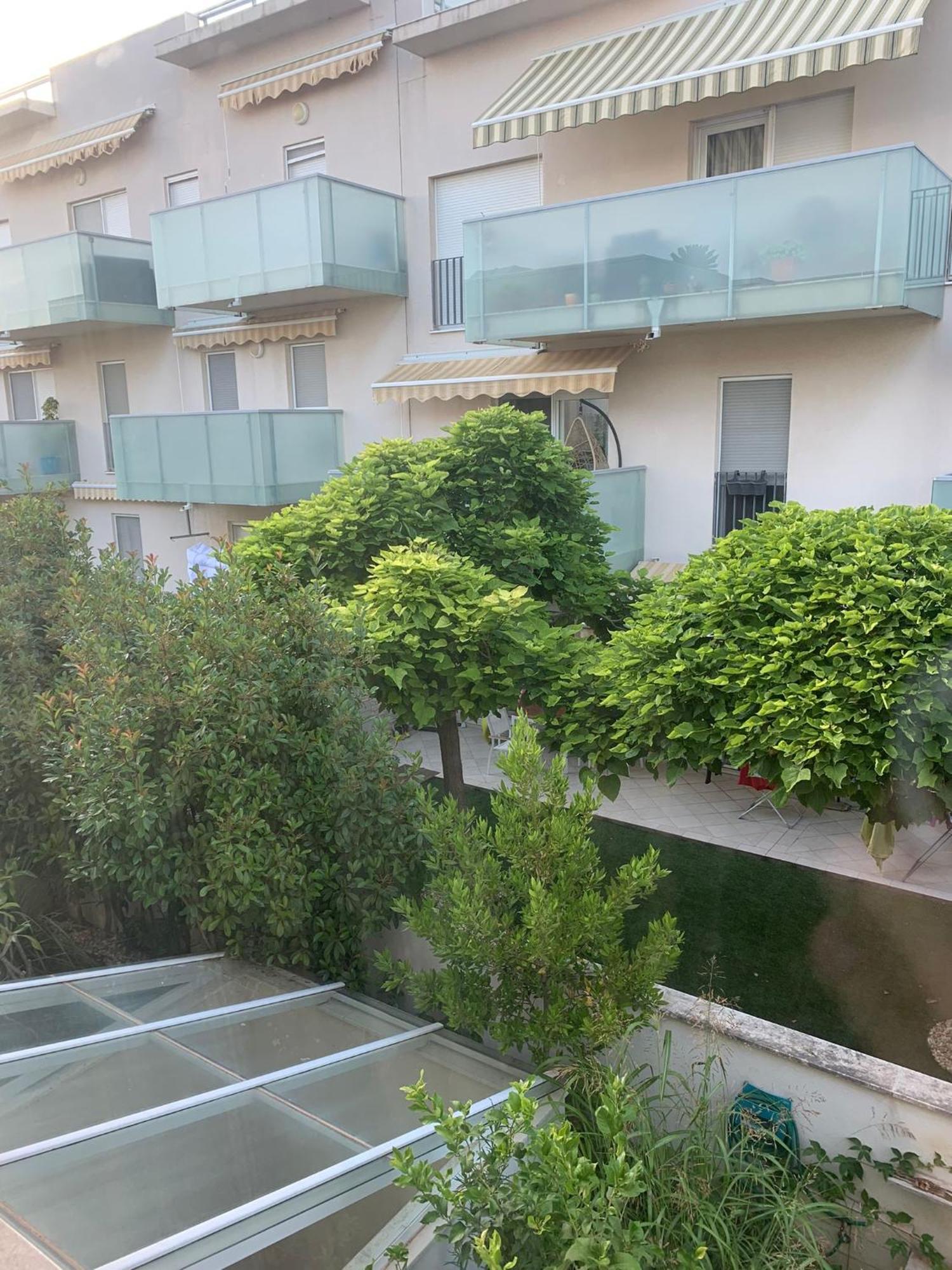 Apartment Maslina